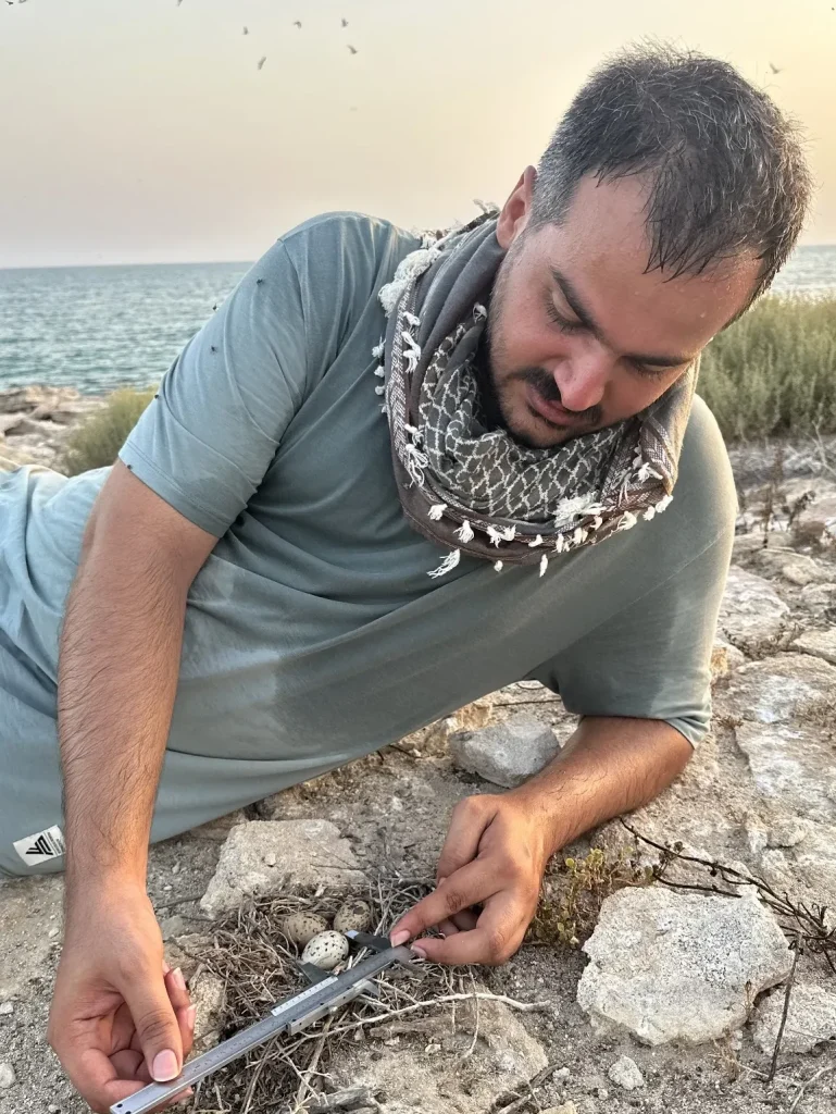Iman Ebrahimi working on seabirds nests in the Persian Gulf, Shidvar Island