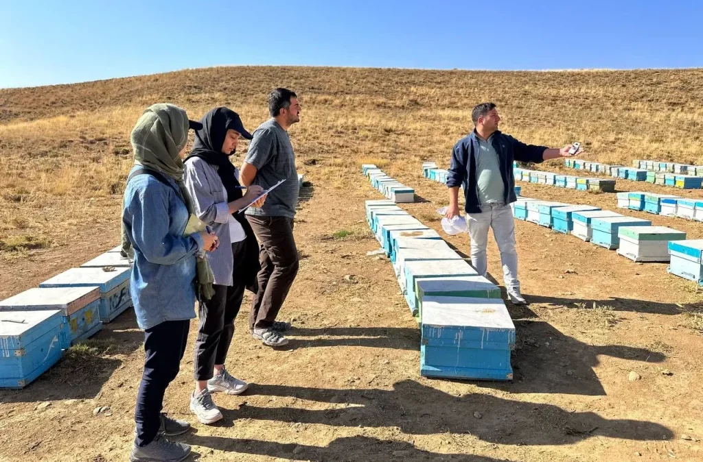 Iman Ebrahimi and his project team members speaking with a beekeeper at a rural apiary during fieldwork on bee-eater–beekeeper conflict in Iran.