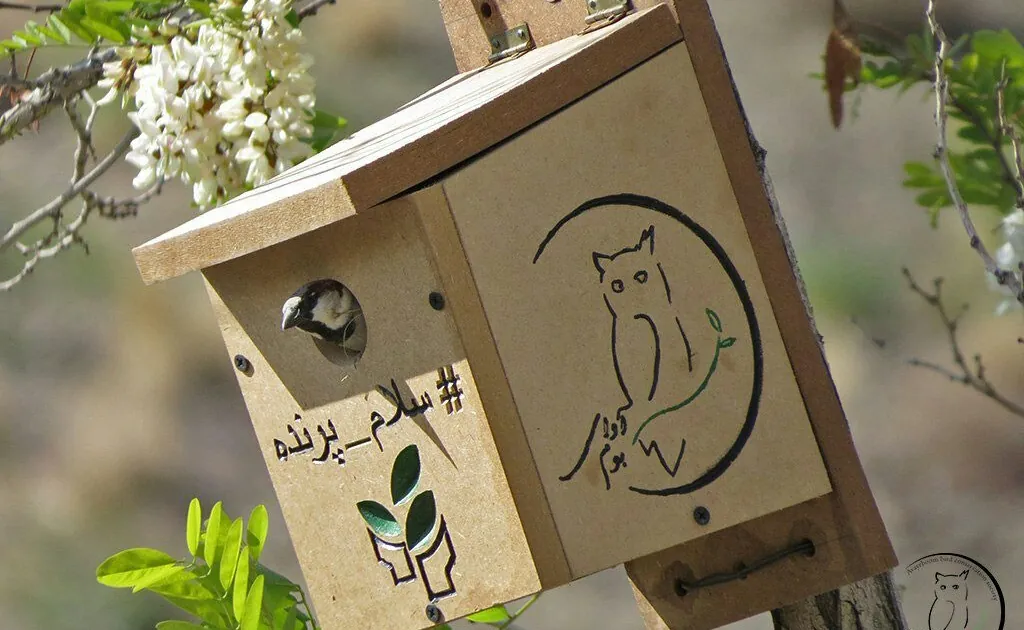 Nest boxe installed by Iman Ebrahimi and his team in AvayeBoom